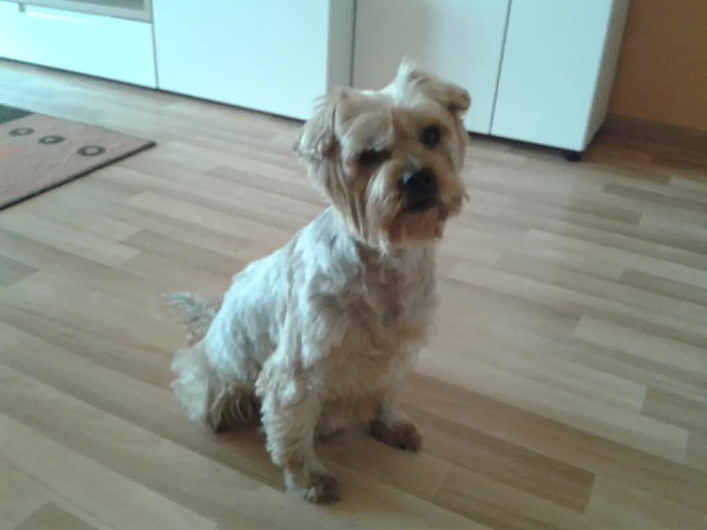 Condolence image of Krzysztof i Ewa