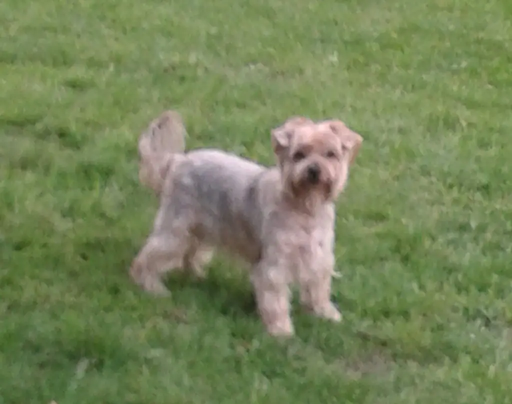 Condolence image of Krzysztof und Ewa