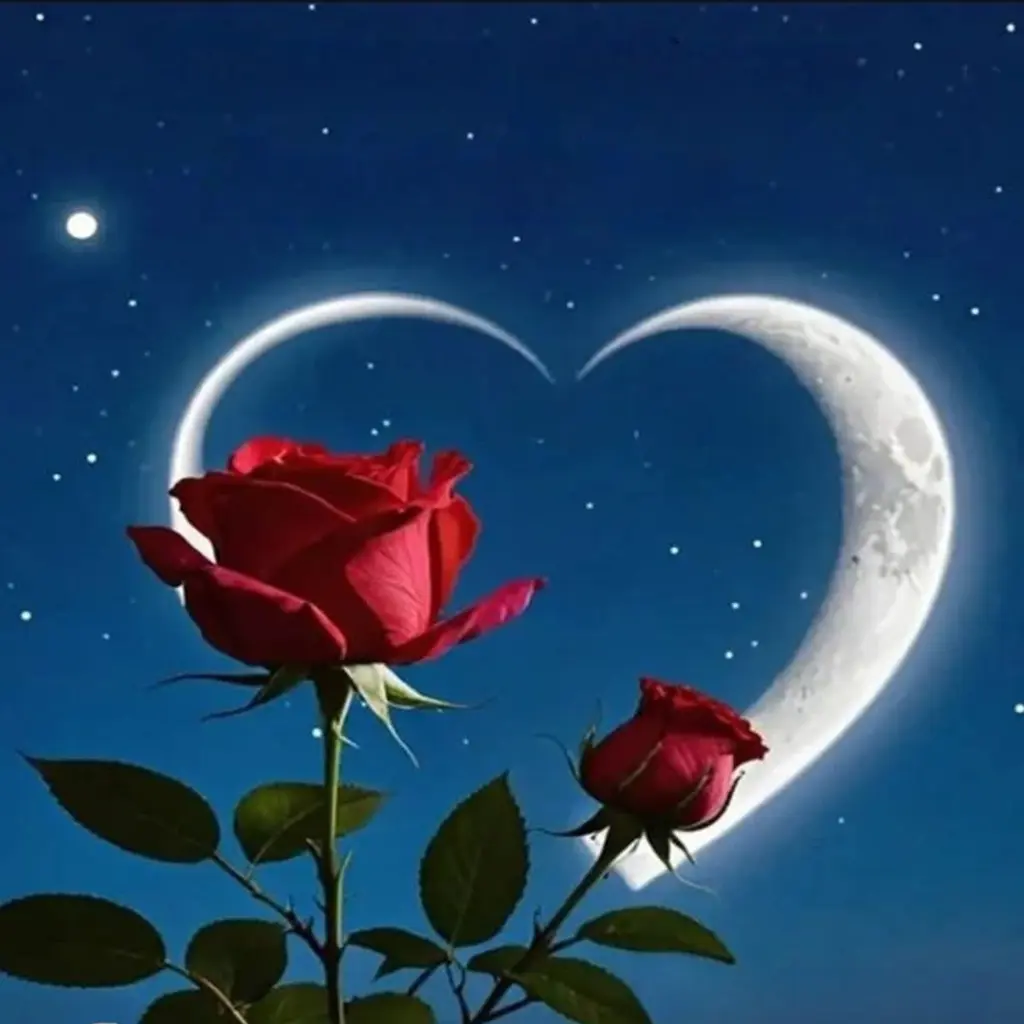 Condolence image of ✨️Dobranoc✨️ nasz najdroższy Jackusiu♥️