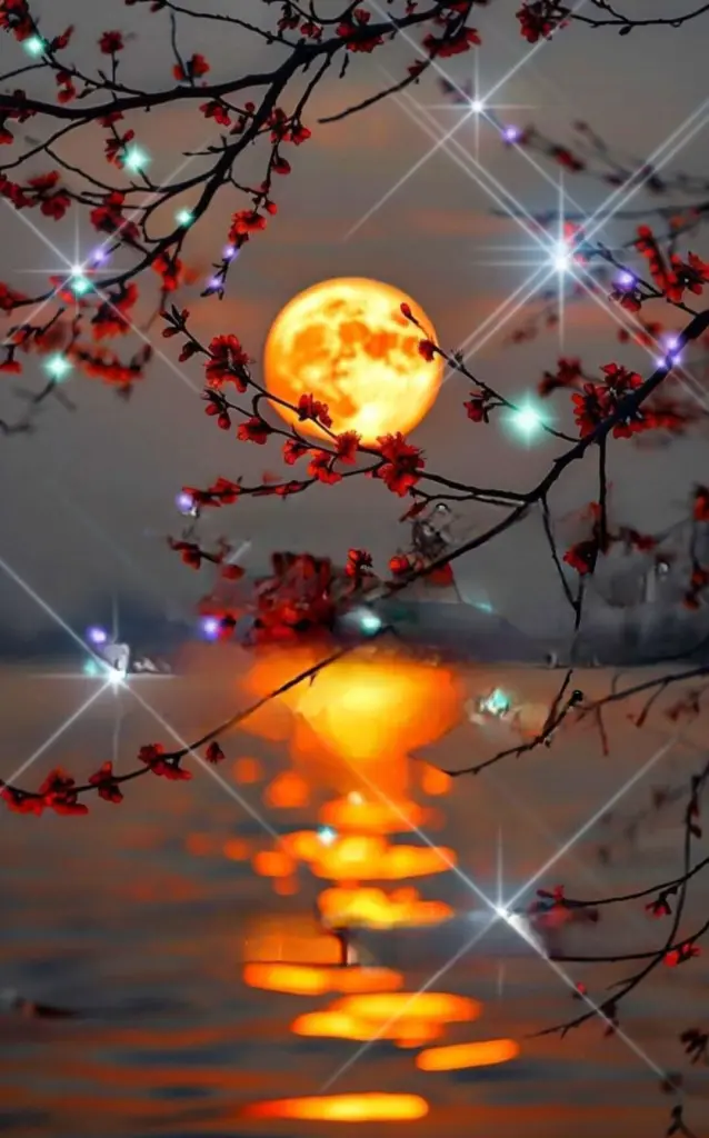 Condolence image of ✨️Dobranoc✨️ nasz najdroższy Jackusiu♥️