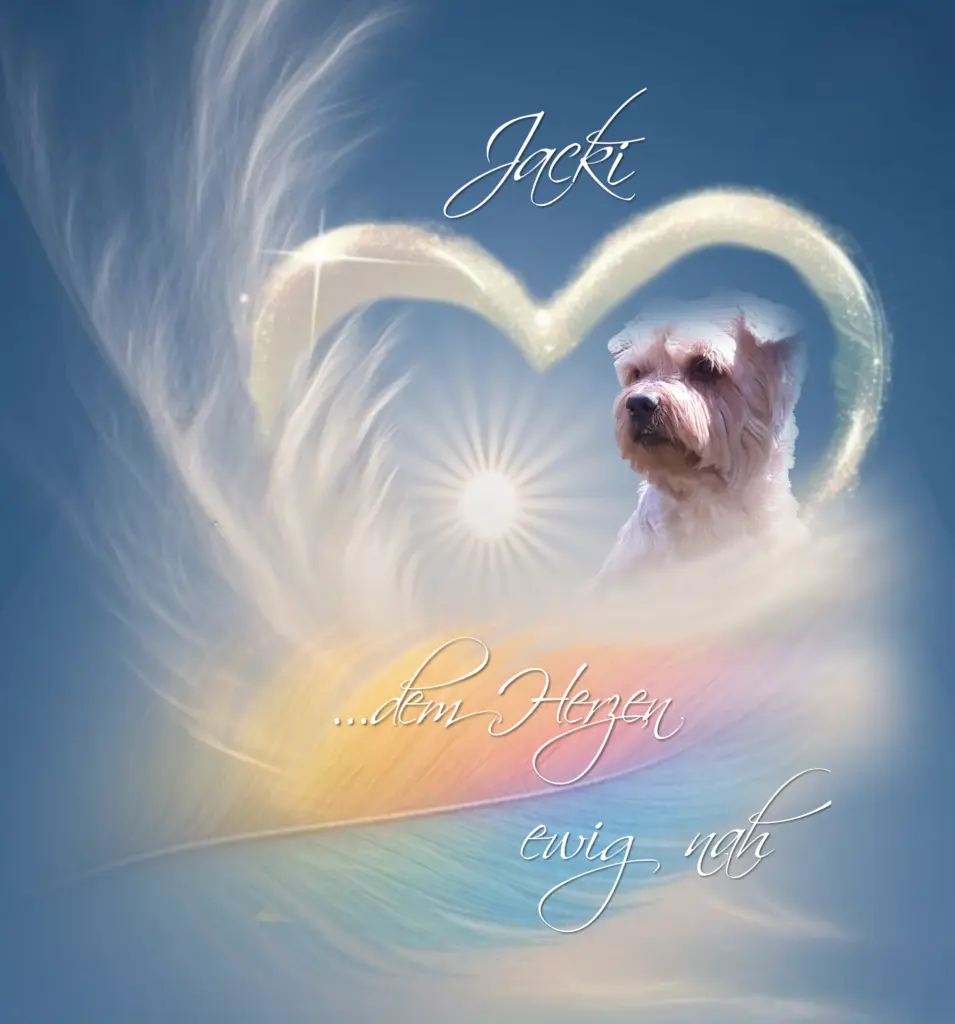 Condolence image of ✨️Dobranoc✨️ nasz najdroższy Jackusiu♥️