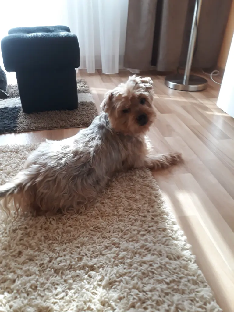 Condolence image of Ewa & Krzysztof