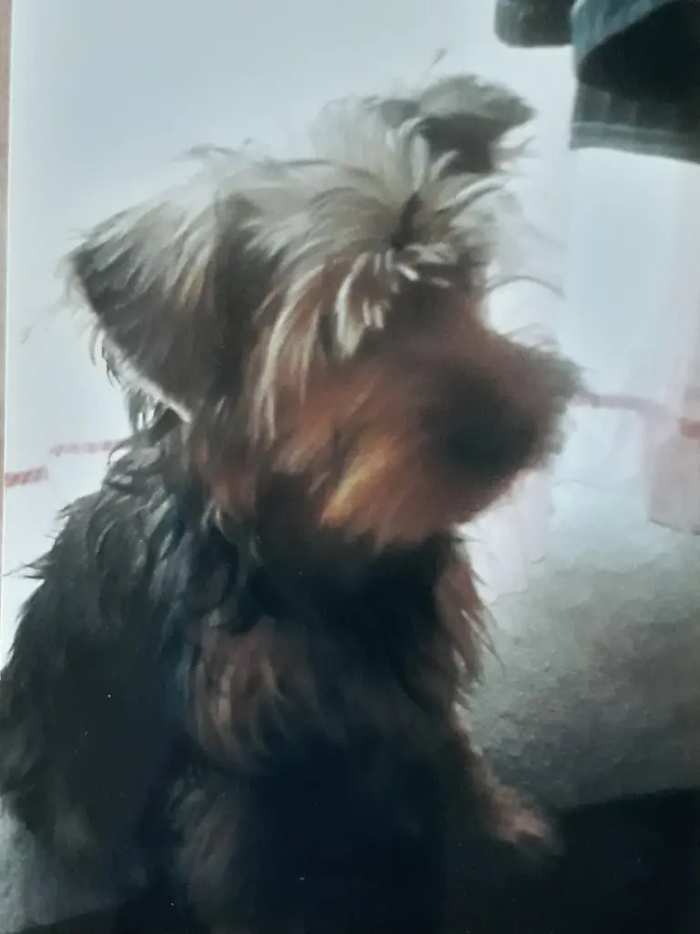 Condolence image of Ewa & Krzysztof