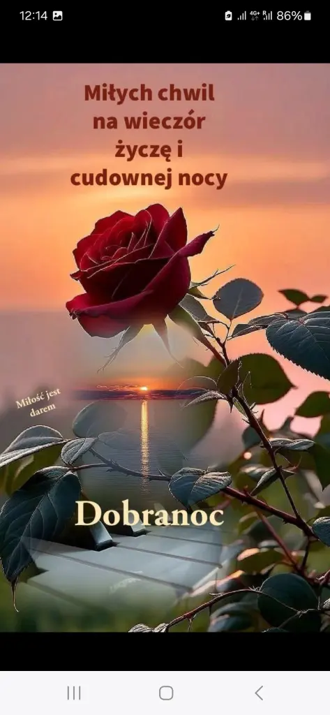 Condolence image of ✨️Dobranoc✨️ nasz najdroższy Jackusiu♥️