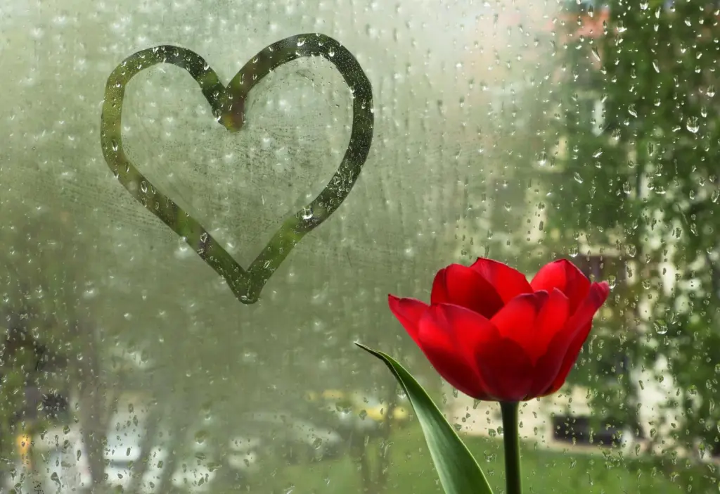 Condolence image of Iris mit Eliot und Linus im Herzen