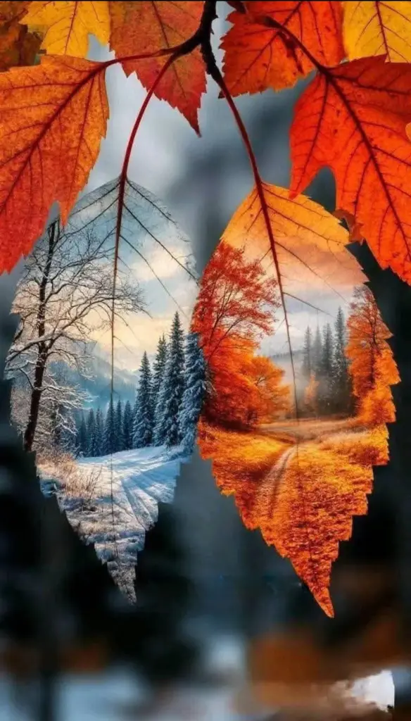 Condolence image of Ewa & Krzysztof