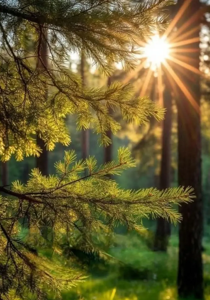 Condolence image of Ewa & Krzysztof