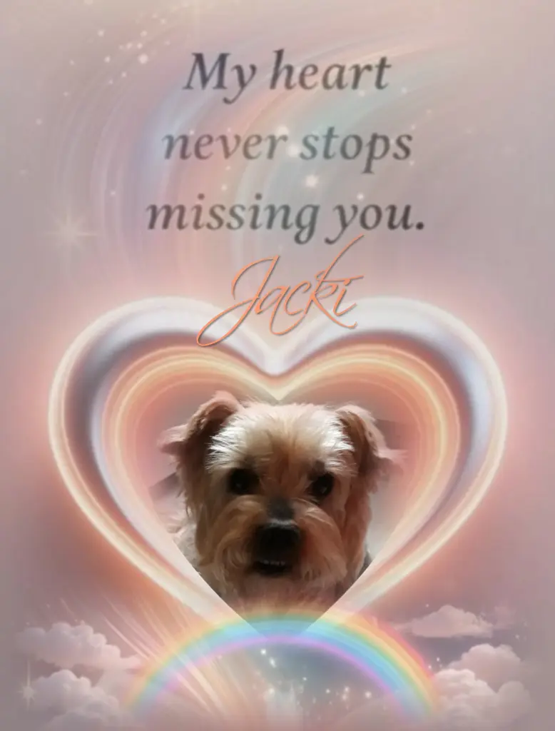 Condolence image of 37 Monate ohne Dich♥️ allerliebster Jackuś♥️