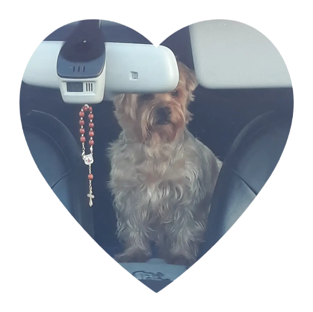 Condolence image of Ewa & Krzysztof