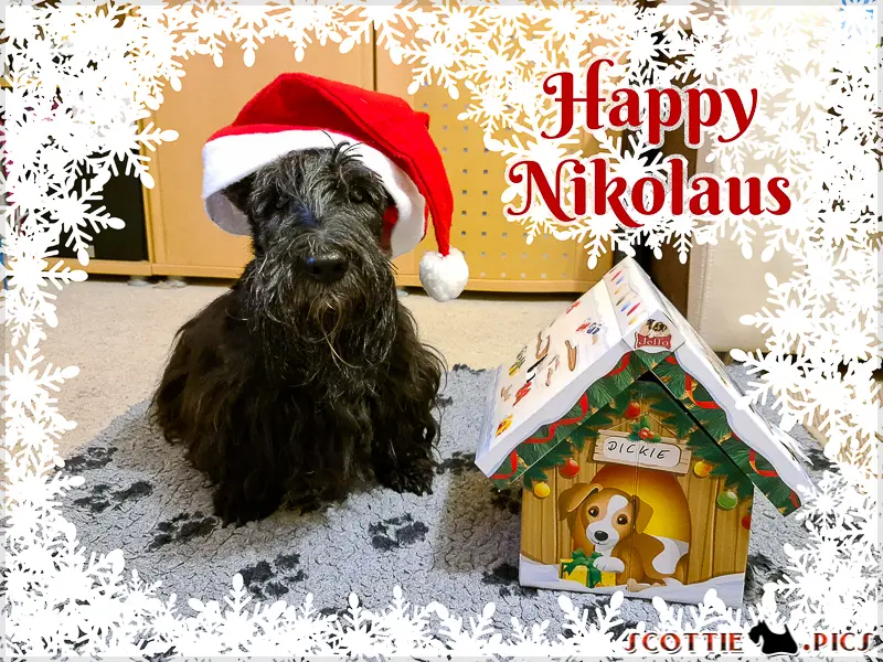 Condolence image of Iris mit Eliot und Linus im Herzen