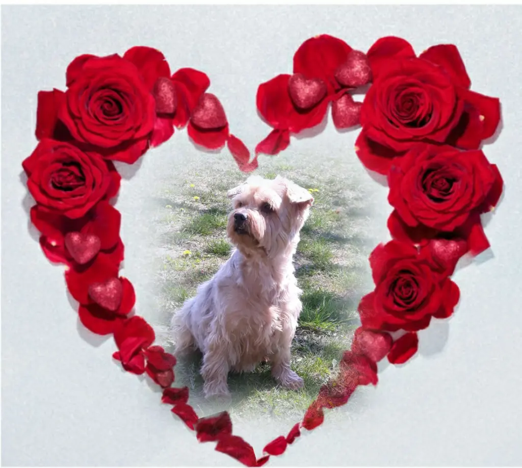 Condolence image of Ewa & Krzysztof