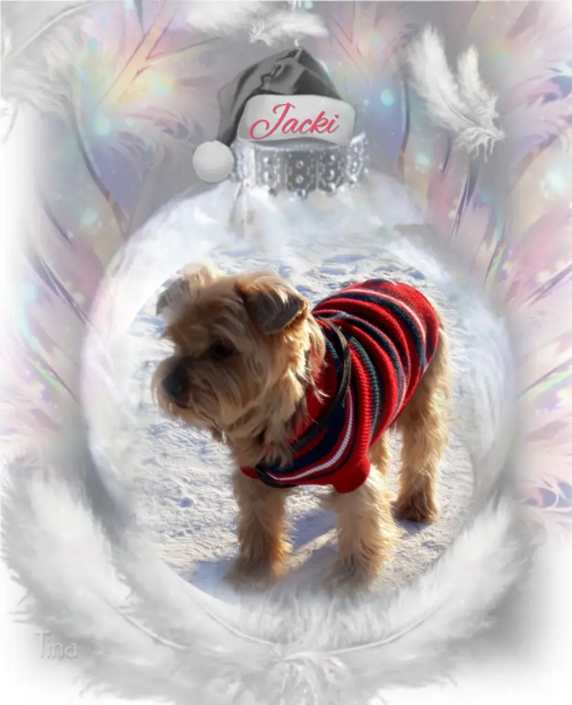 Condolence image of Sonntag, 164 Wochen ohne Dich♥️ liebster Jackuś♥️