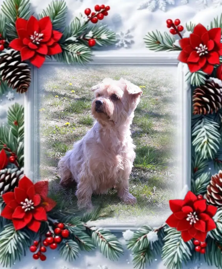 Condolence image of Ewa & Krzysztof