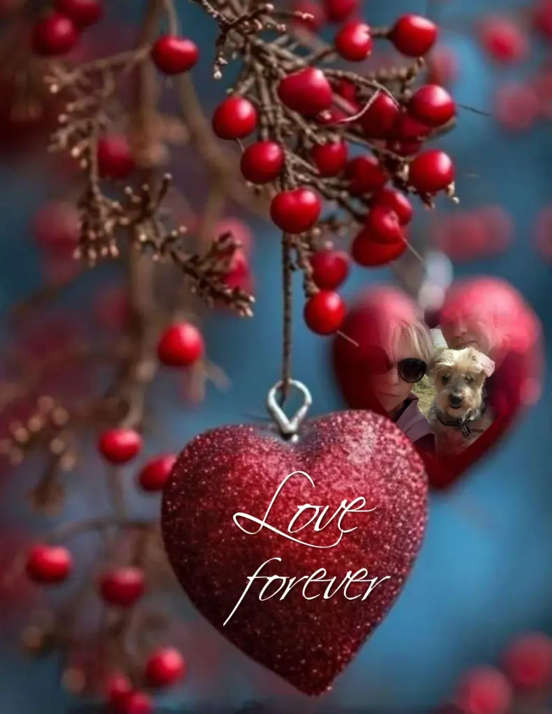 Condolence image of ✨️Dobranoc✨️ nasz najdroższy Jackusiu♥️