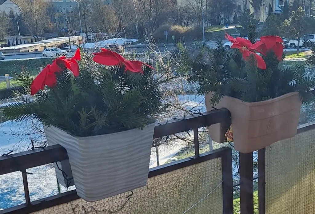 Condolence image of Ewa & Krzysztof