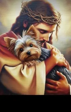 Condolence image of von ❤️