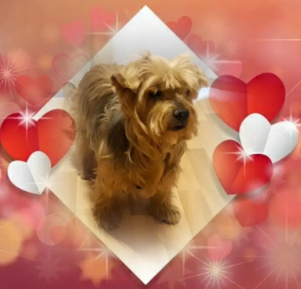 Condolence image of Ewa & Krzysztof