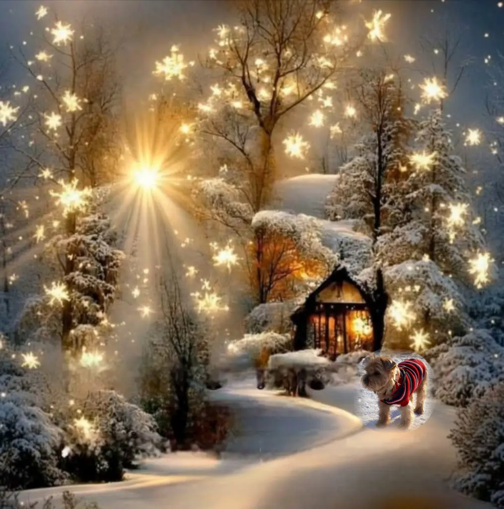 Condolence image of ✨️Dobranoc ✨️ nasz najdroższy Jackusiu♥️