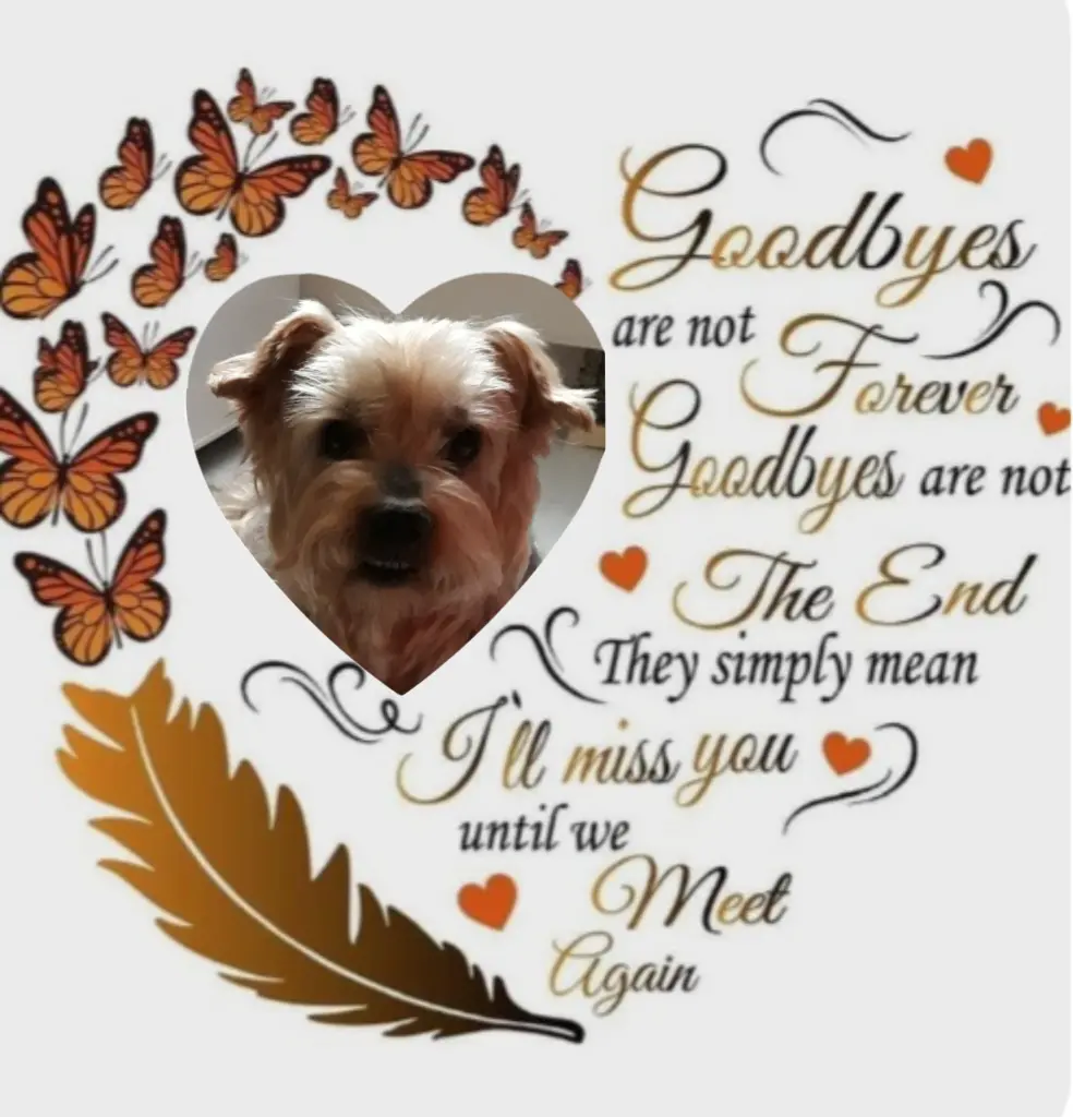 Condolence image of Ewa & Krzysztof