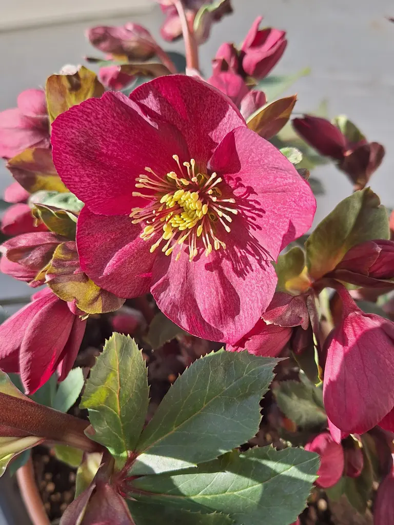 Condolence image of Ewa & Krzysztof