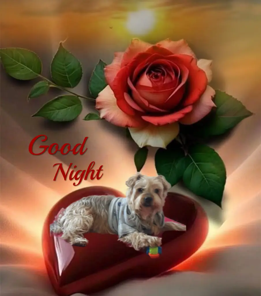 Condolence image of ✨️Dobranoc✨️ nasz najdroższy Jackusiu♥️