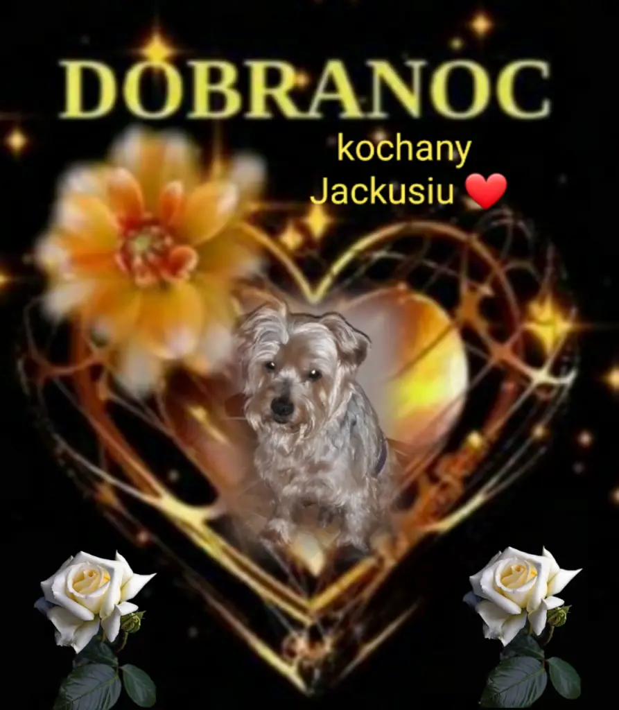Condolence image of ✨️Dobranoc✨️ nasz najdroższy Jackusiu♥️