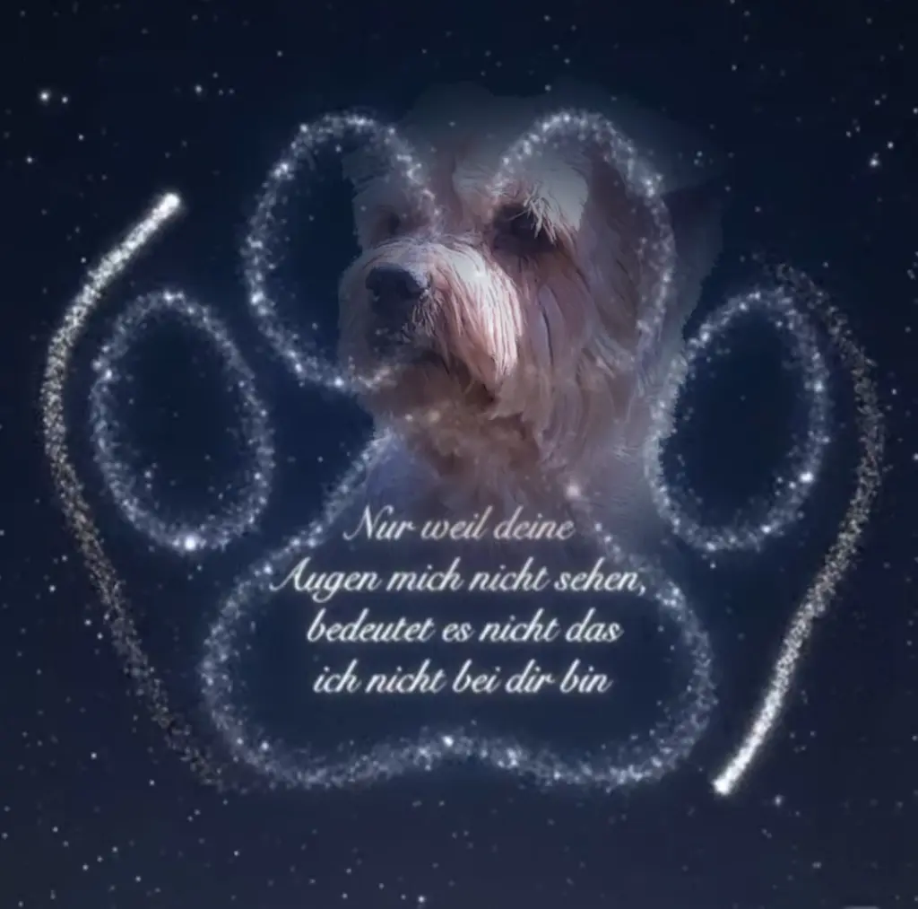 Condolence image of ✨️Dobranoc✨️ nasz najdroższy Jackusiu♥️