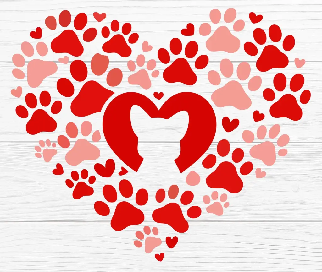 Condolence image of Helmut