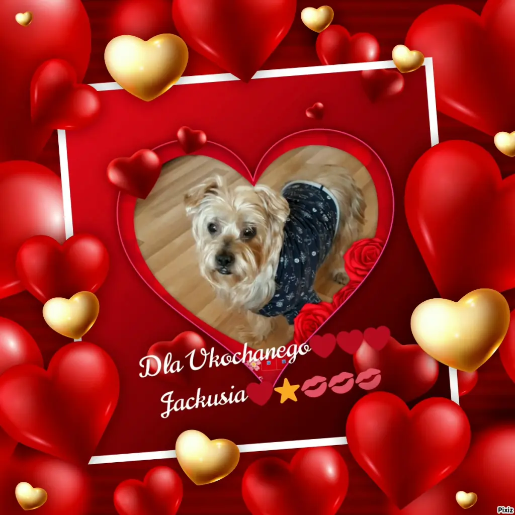 Condolence image of Dla Ukochanego❤️❤️❤️Jackusia❤️⭐️🫶🫶🫶💋💋💋