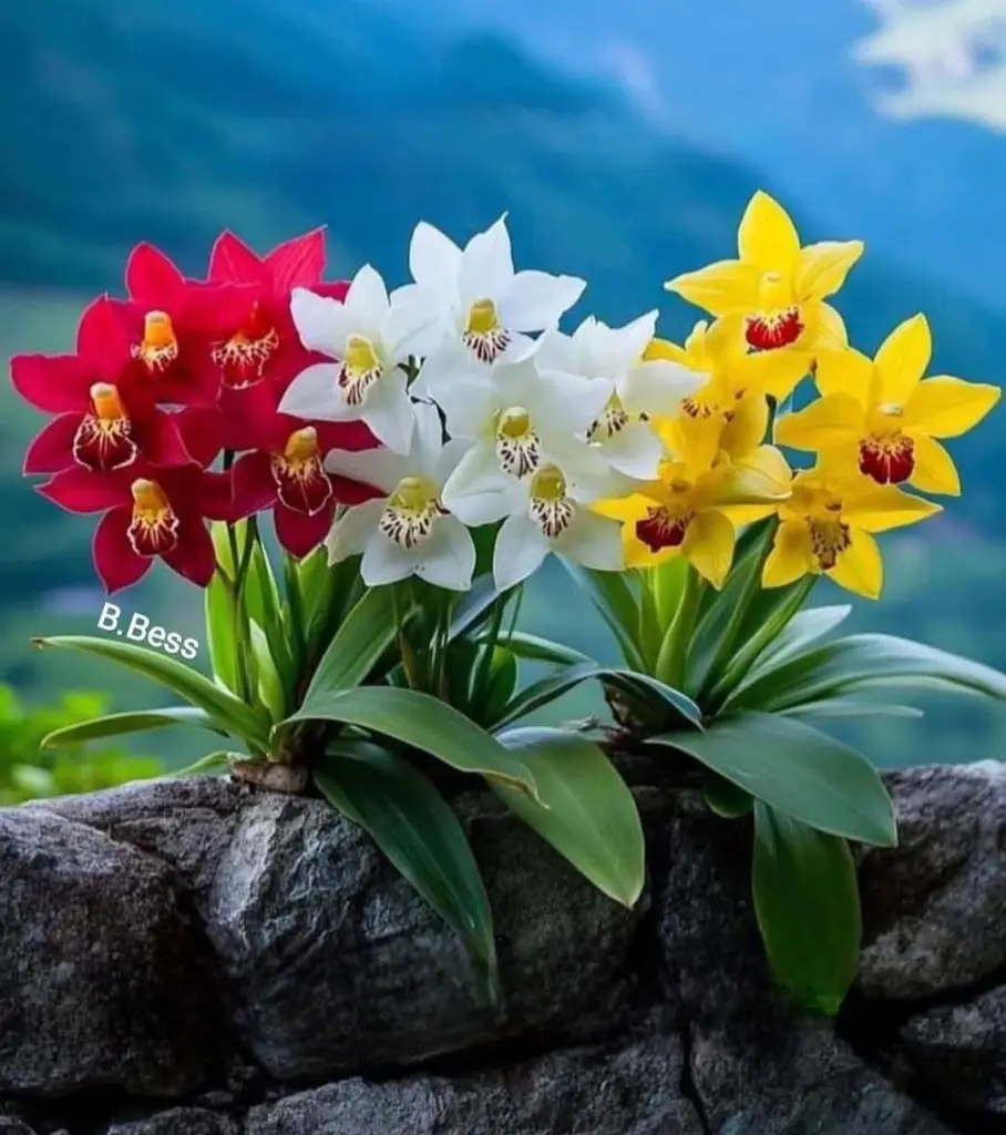 Condolence image of Ewa & Krzysztof