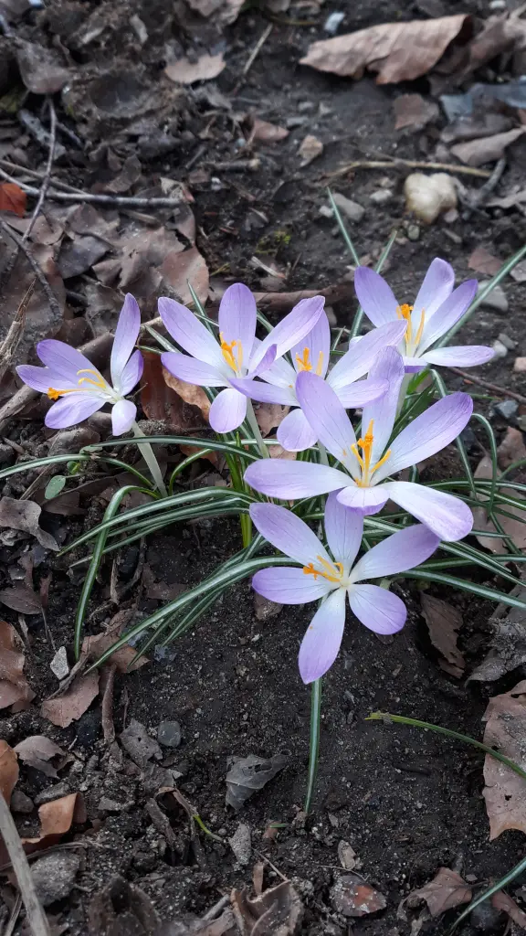 Condolence image of Ewa & Krzysztof