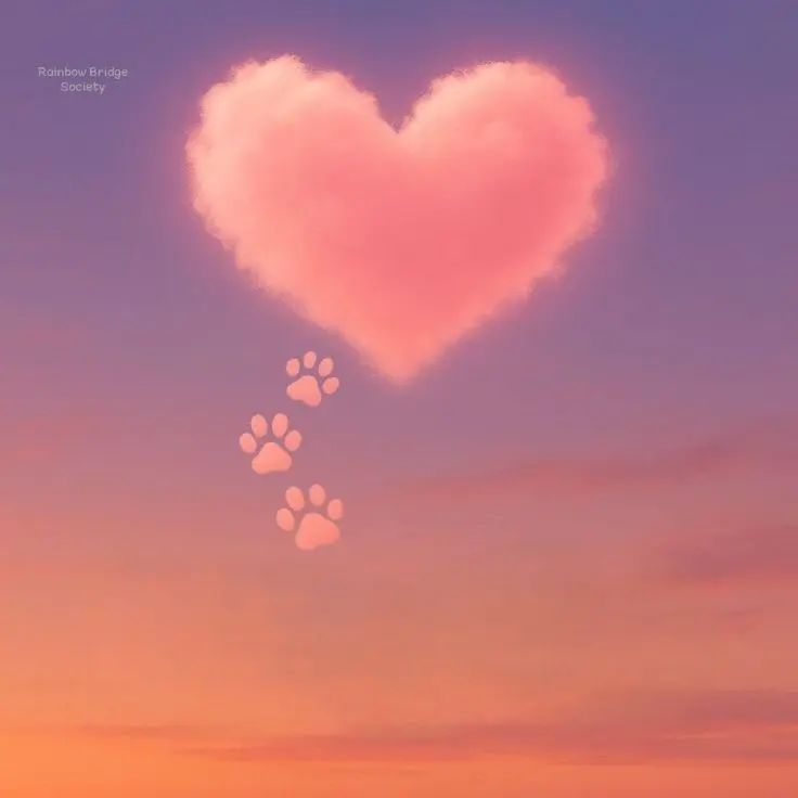 Condolence image of Für Jacki❤️🌹