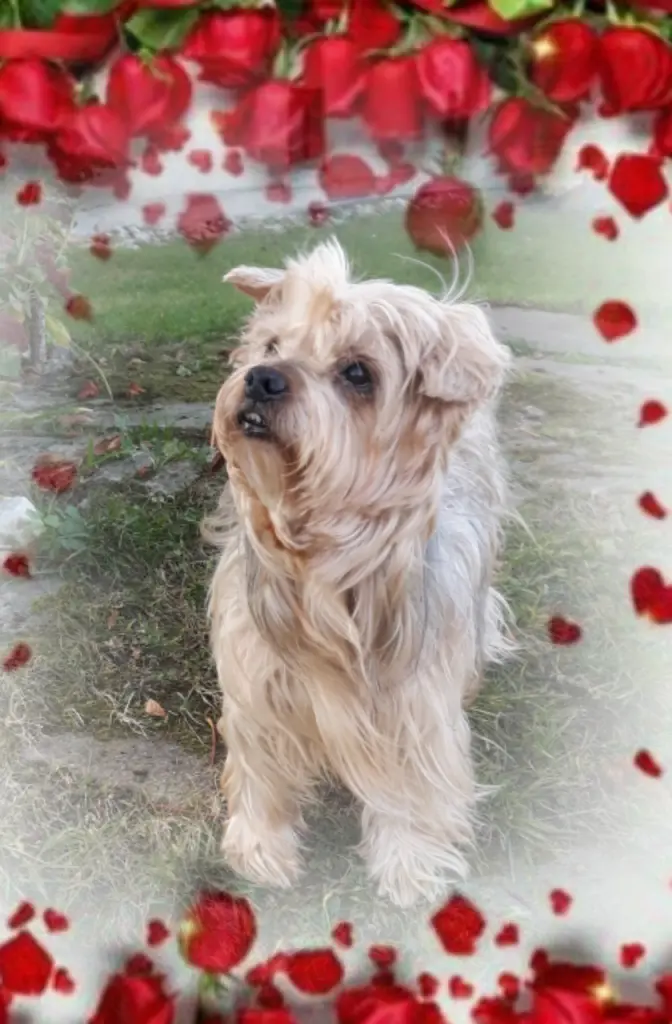 Condolence image of Ewa & Krzysztof