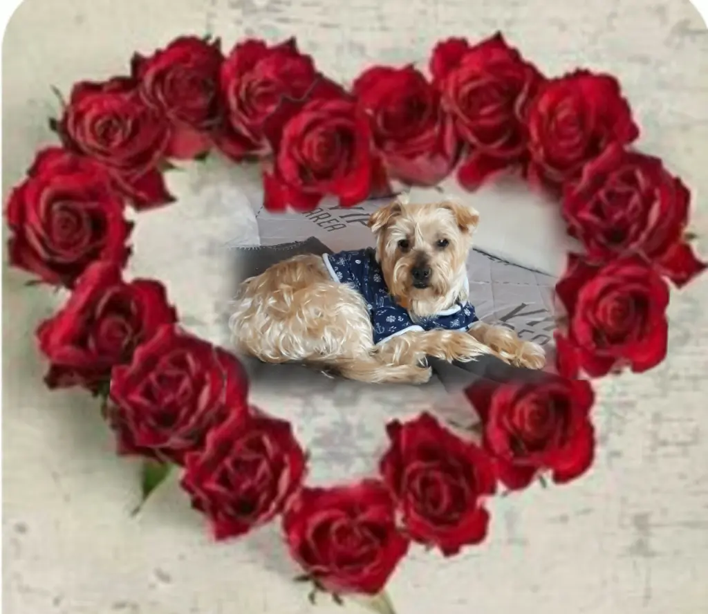 Condolence image of Ewa & Krzysztof