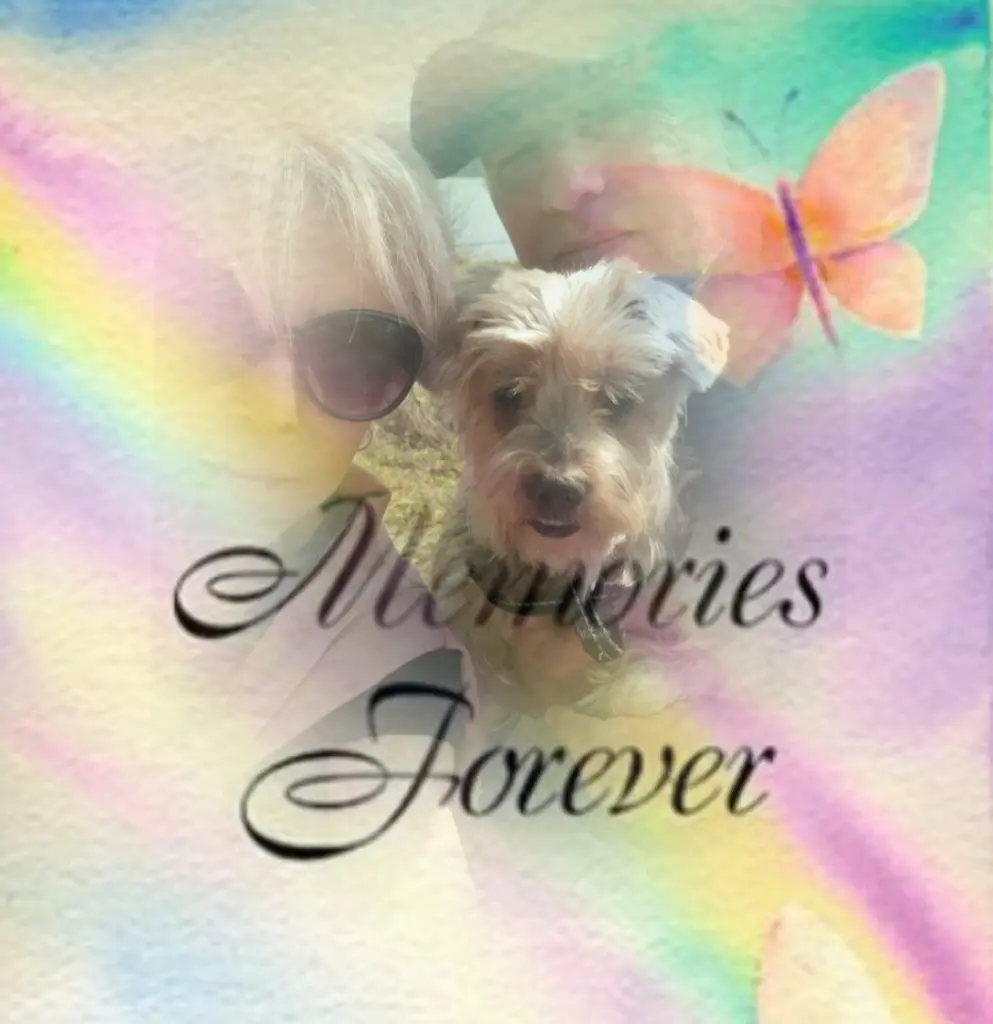 Condolence image of Sonntag, 175 Wochen ohne Dich♥️ liebster Jacki♥️