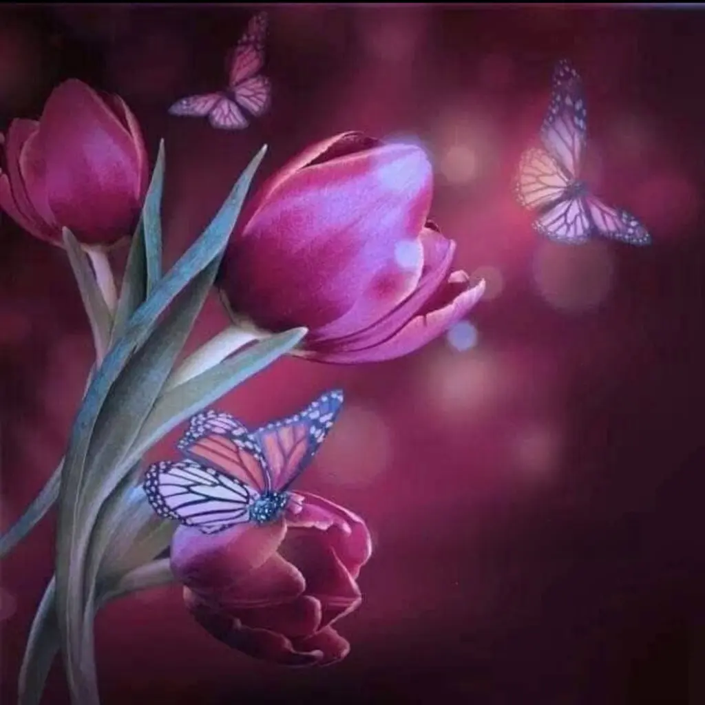 Condolence image of ✨️Dobranoc✨️ nasz najdroższy Jackusiu♥️