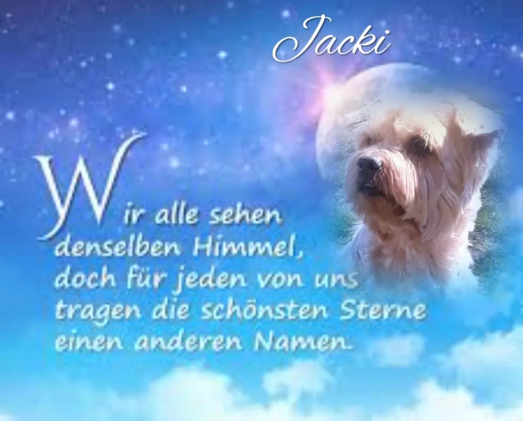 Condolence image of ✨️Dobranoc✨️ nasz najdroższy Jackusiu♥️