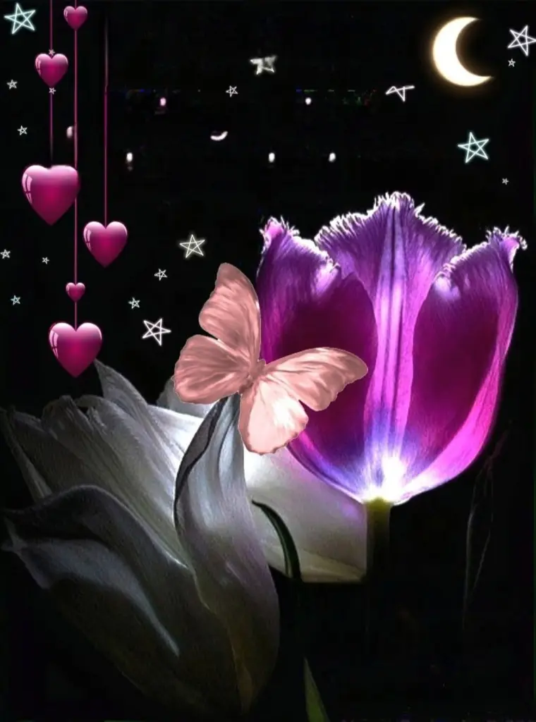 Condolence image of ✨️Dobranoc✨️ nasz najdroższy Jackusiu♥️