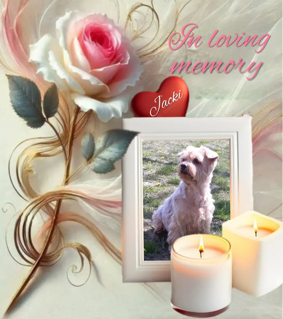 Condolence image of Sonntag, 177 Wochen ohne Dich♥️ liebster Jackuś♥️