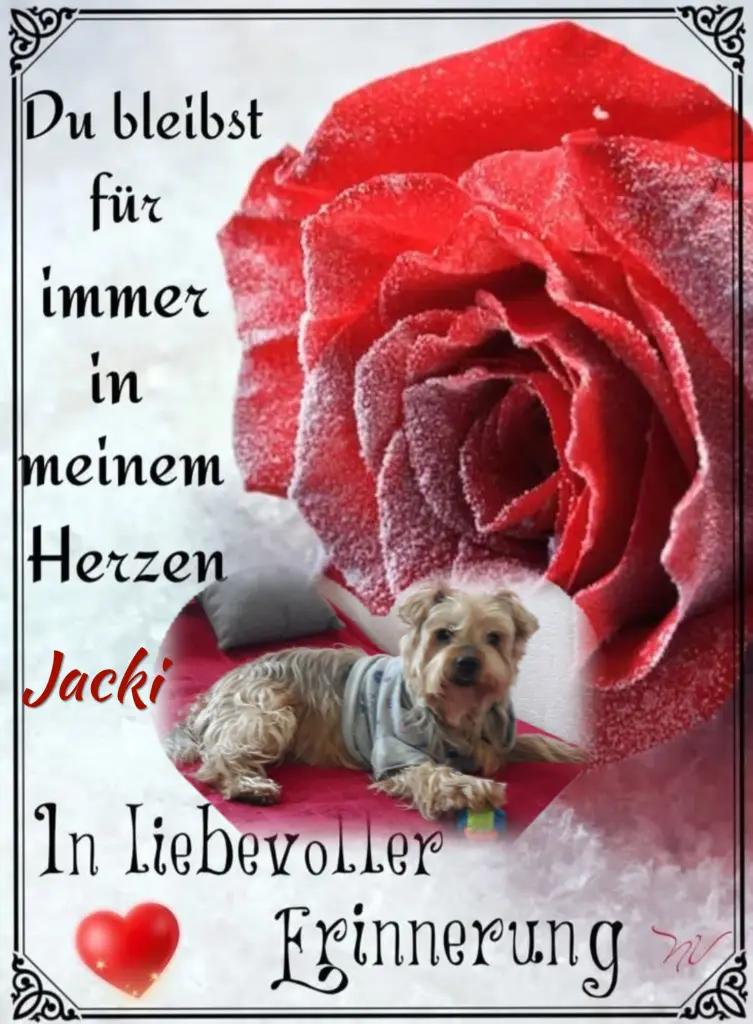 Condolence image of Sonntag, 178 Wochen ohne Dich♥️ liebster Jackuś♥️