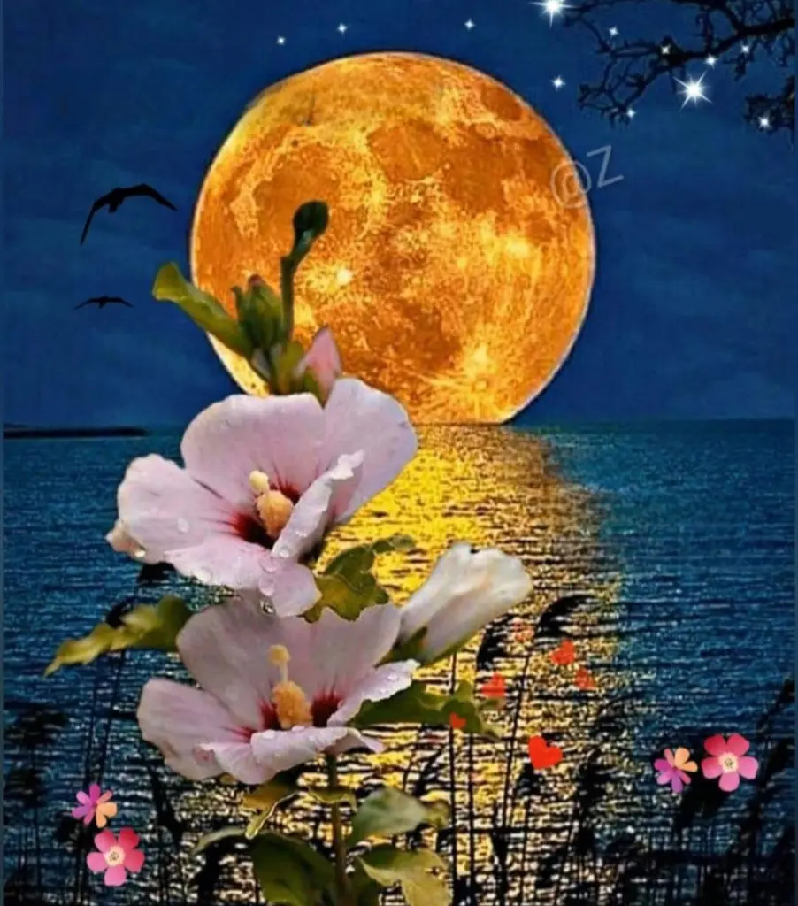 Condolence image of ✨️Dobranoc✨️ nasz najdroższy Jackusiu♥️