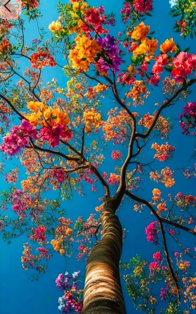 Condolence image of Ewa & Krzysztof