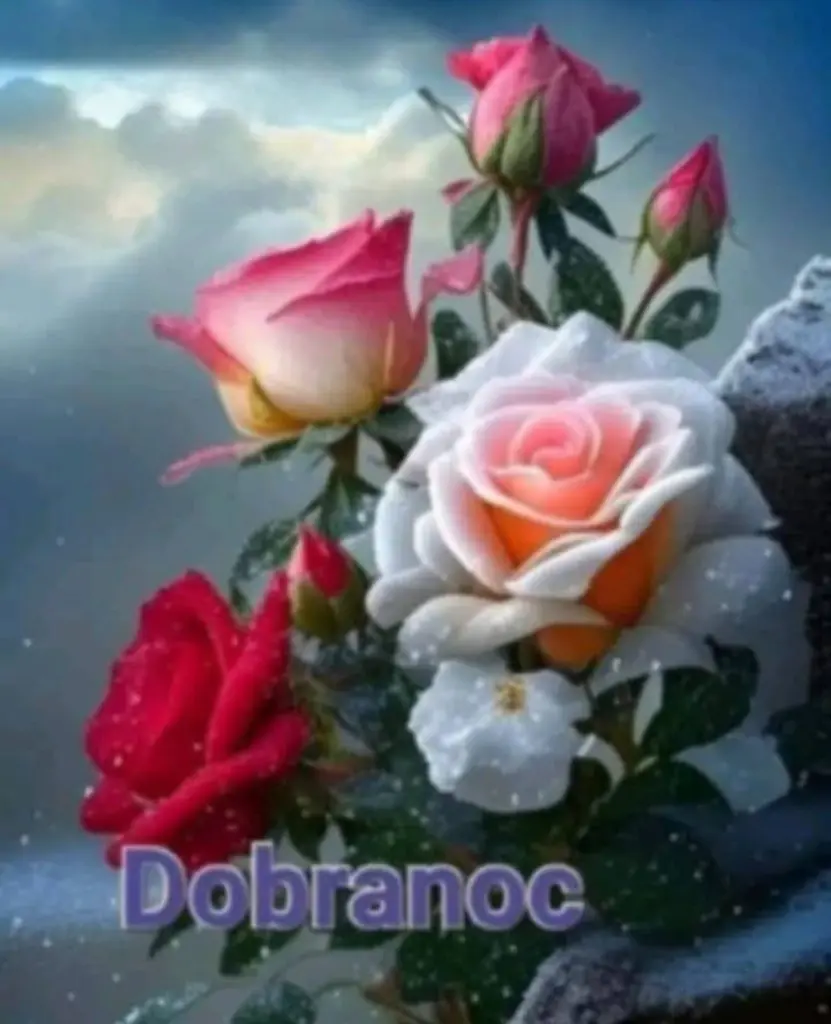 Condolence image of ✨️Dobranoc✨️ nasz najdroższy Jackusiu♥️