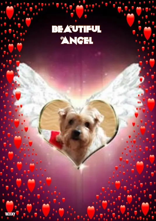 Condolence image of Dobrej Nocki❤️❤️❤️Kochany❤️❤️❤️Jackuniu❤️🐕⭐️💋💋💋🫶🫶🫶