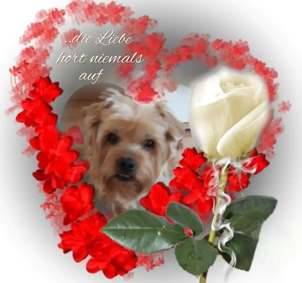 Condolence image of Ewa & Krzysztof