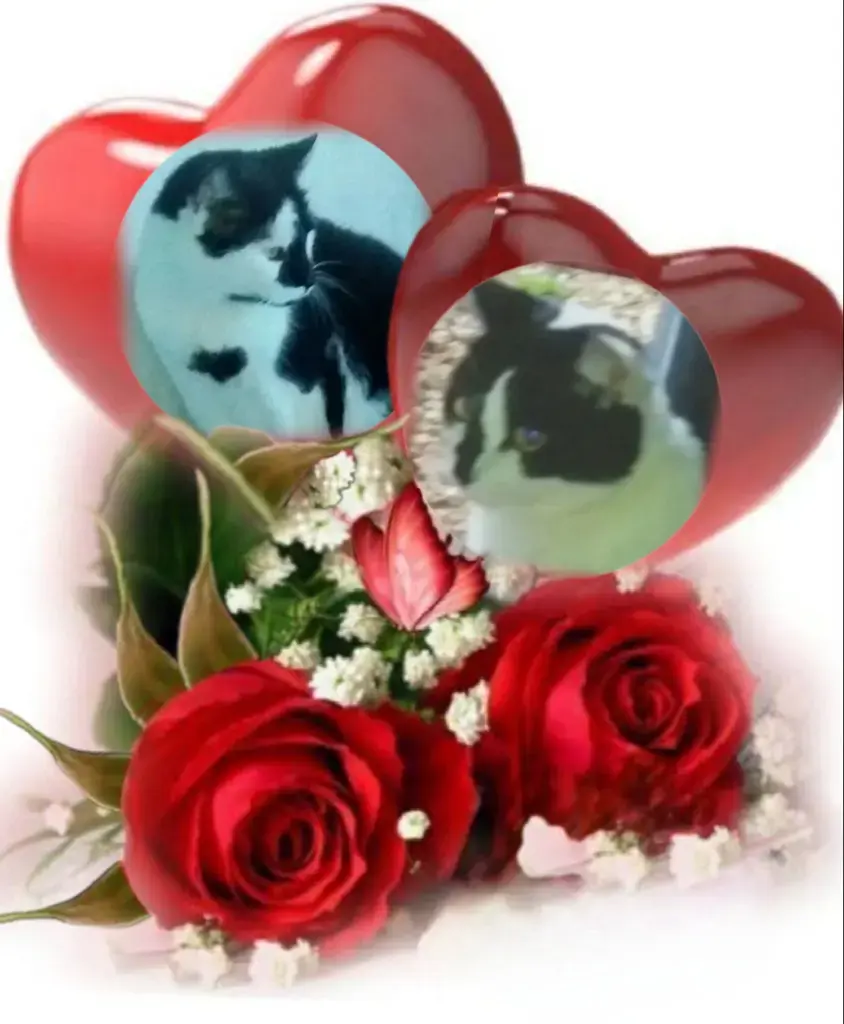 Condolence image of Snoopy und Pünktchen❤️❤️