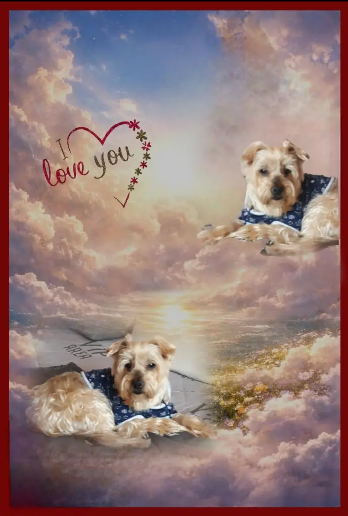 Condolence image of Ewa & Krzysztof