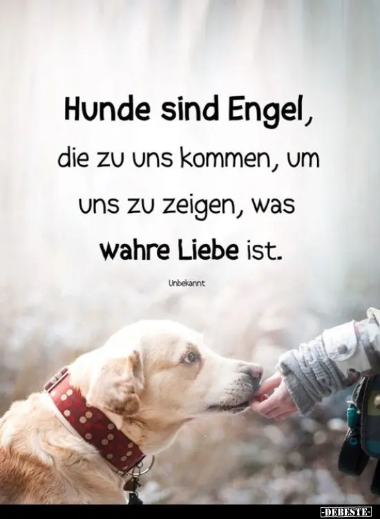 Condolence image of Snoopy und Pünktchen❤️❤️