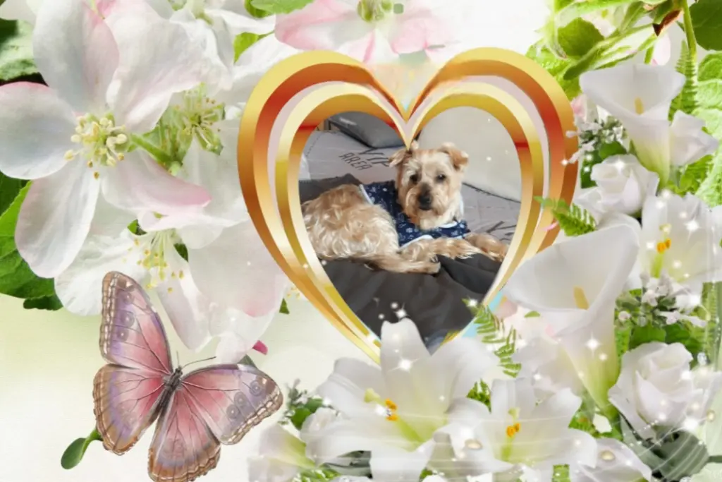 Condolence image of Ewa & Krzysztof