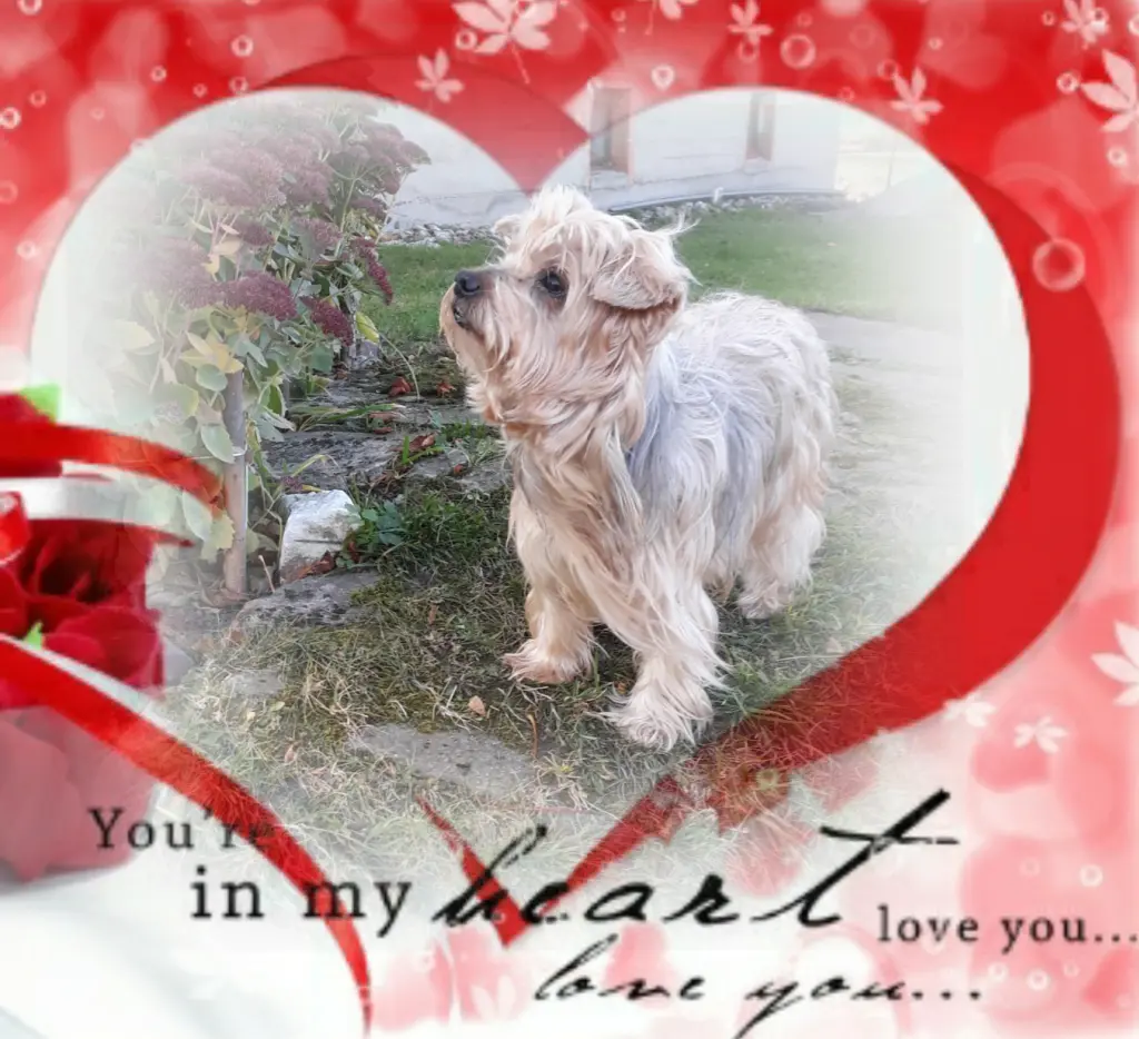 Condolence image of Ewa & Krzysztof